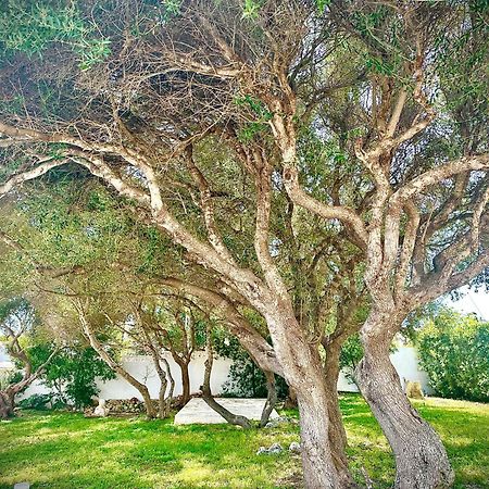 אס קסטיי Starbal Apt מראה חיצוני תמונה